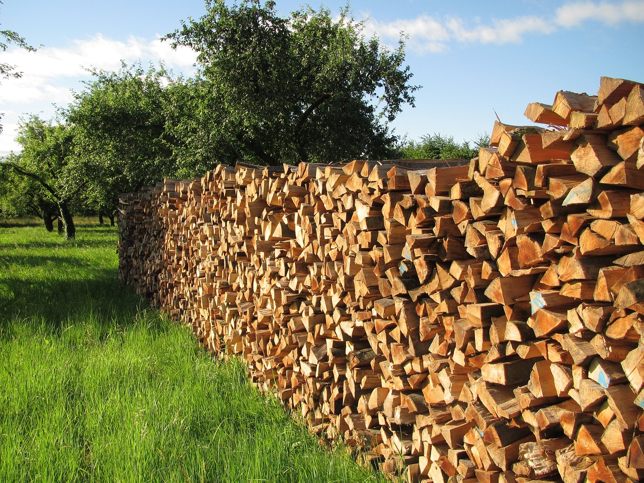 tree wood, firewood, wood-140567.jpg